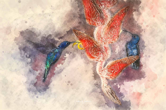 (No. 22-096) The red temptation (watercolor)