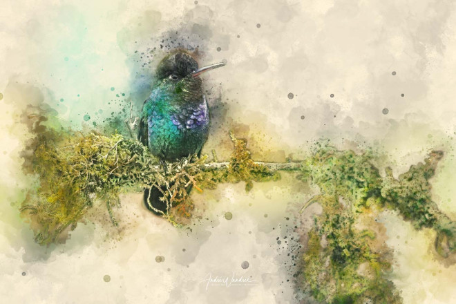 (No. 22-103) Hummingbird at lookout (watercolor)