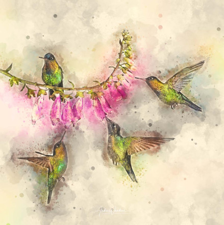 (No. 22-109) Nectar search in fours (watercolor)