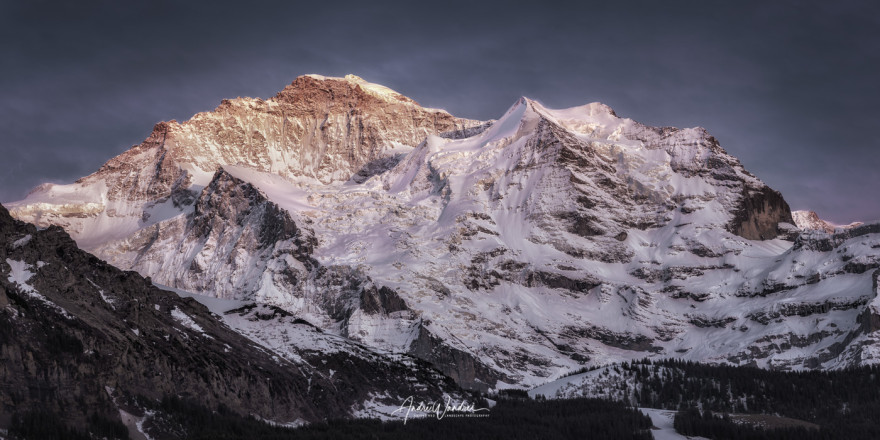 (Art. 21-010) Blick aufs Jungfraumassiv