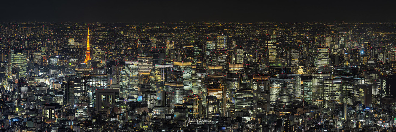 (Art. 19-091) Tokyo bei Nacht (Panorama)