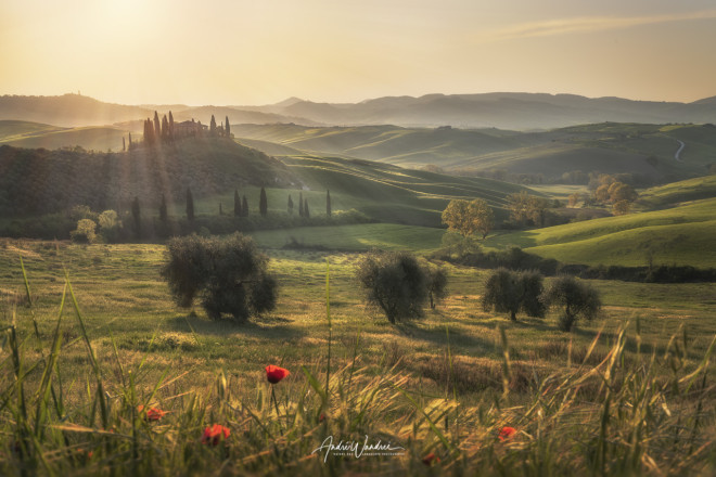 (No. 22-095) Spring landscape in Tuscany