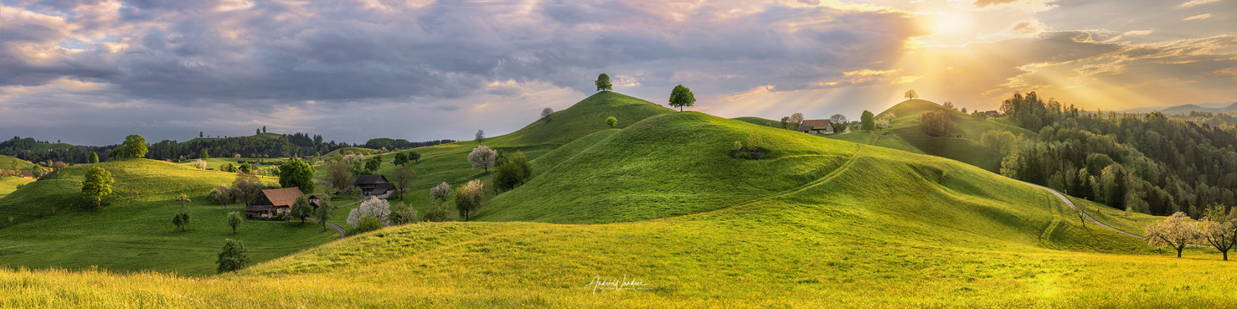 (No. 20-043) Hilly landscape in evening light (4 to 1 panorama)