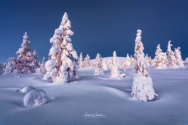 (No. 23-016) Lapland at blue hour