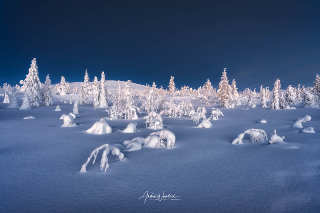 (No. 23-017) Snowy landscape at blue hour