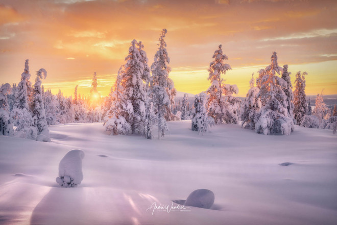 (Art. 23-026) Goldene Stunde in Lappland