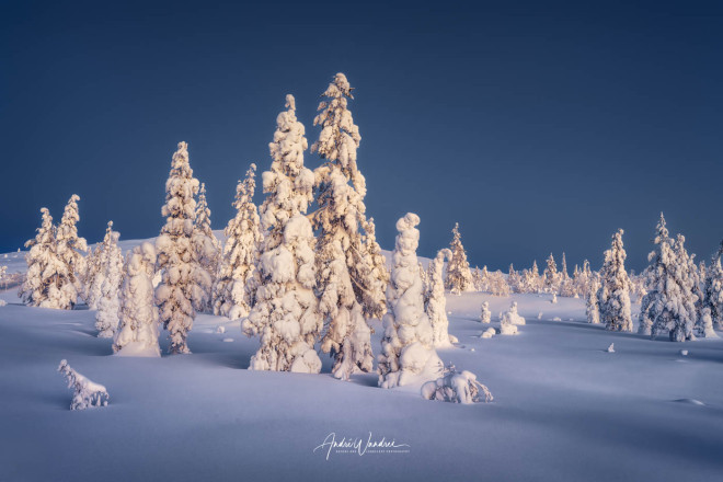 (Art. 23-036) Lappland zur blauen Stunde