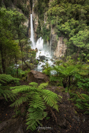(No. 18-058) Ferns and waterfalls