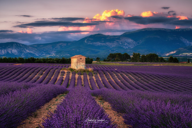 (Art. 18-081) Abendstimmung in der Provence