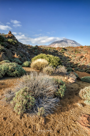 (No. 15-041) The plateau of the Teide