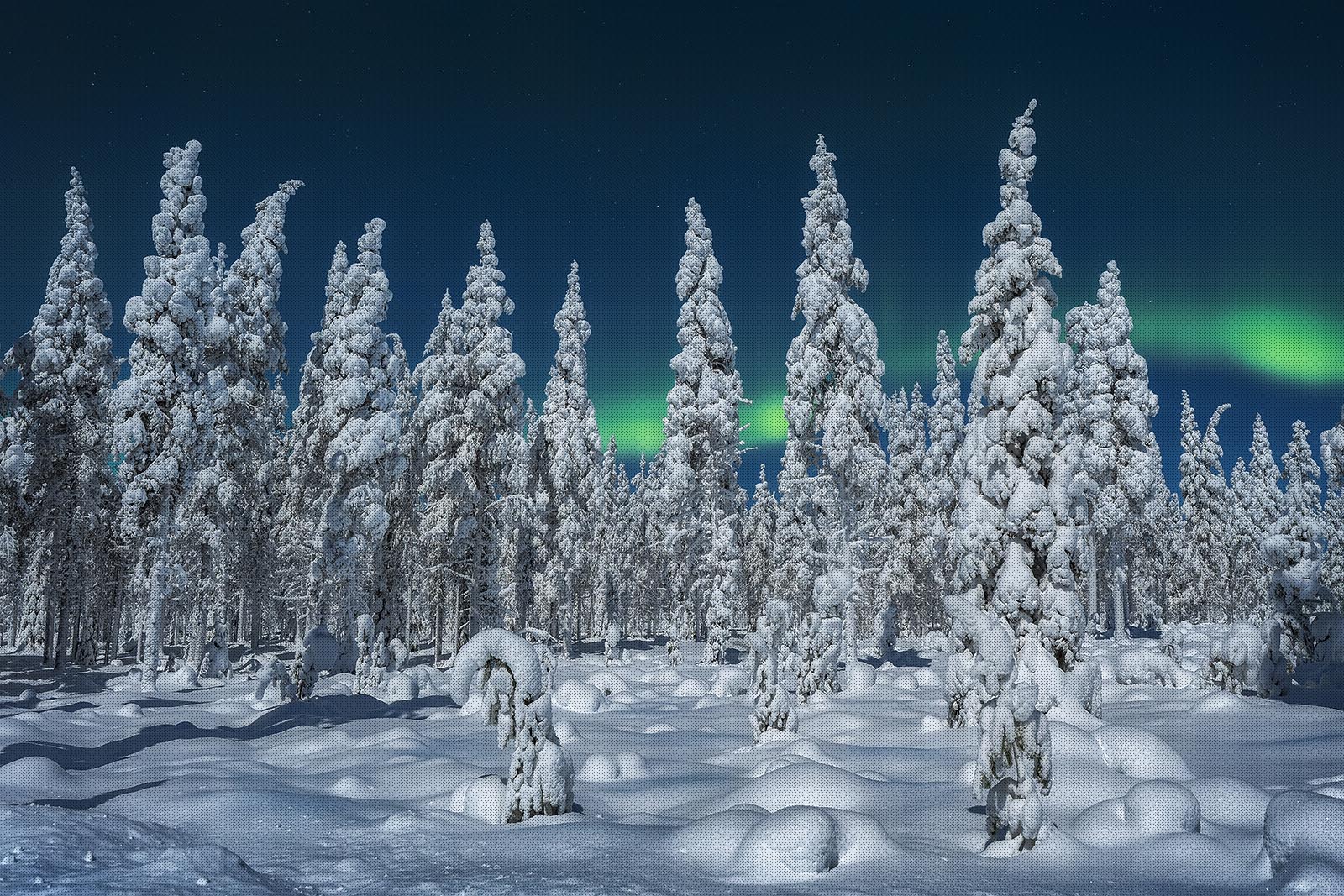 Winter landscapes in Finland