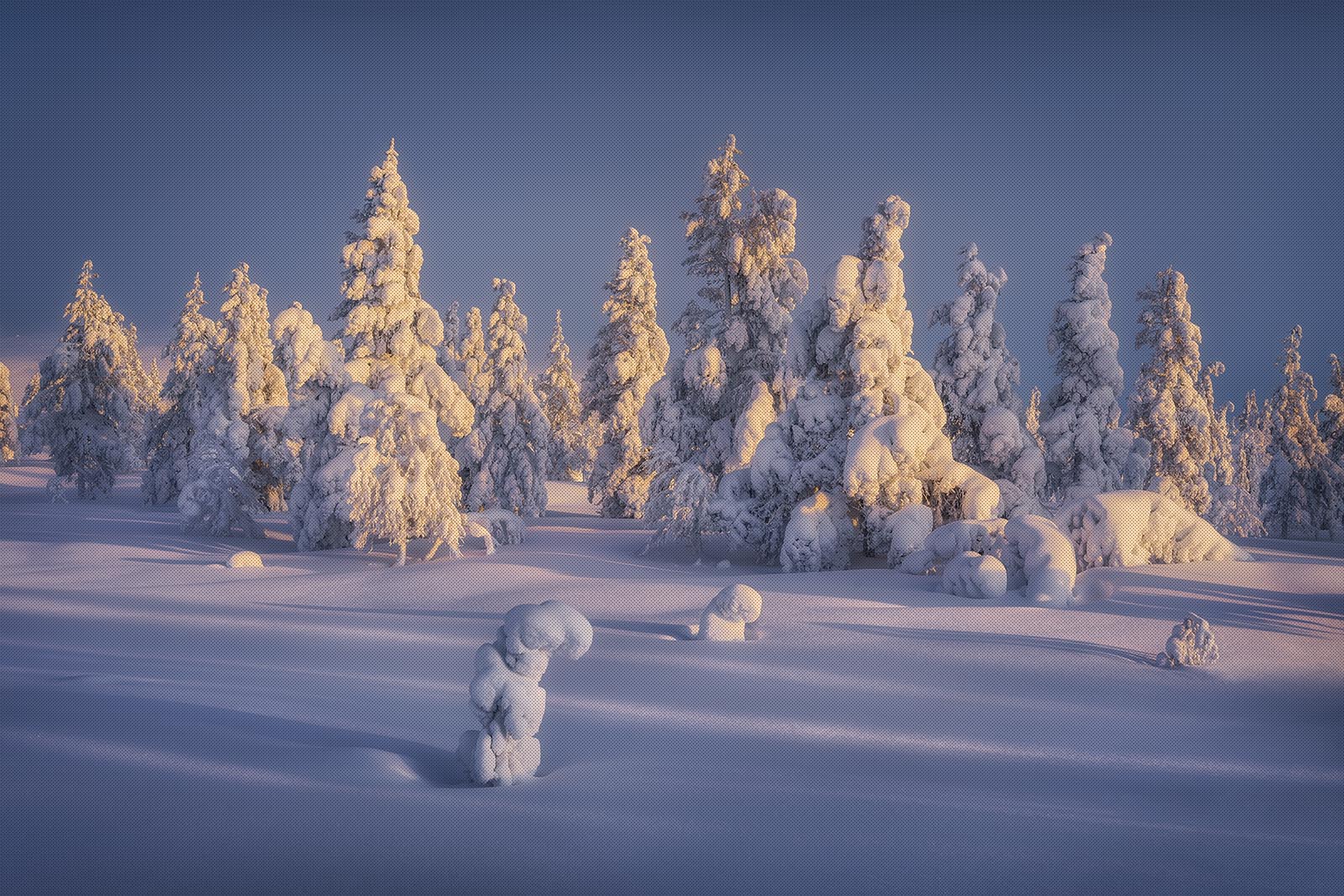 Winter landscapes in Finland